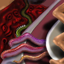 snakebite by raganaga