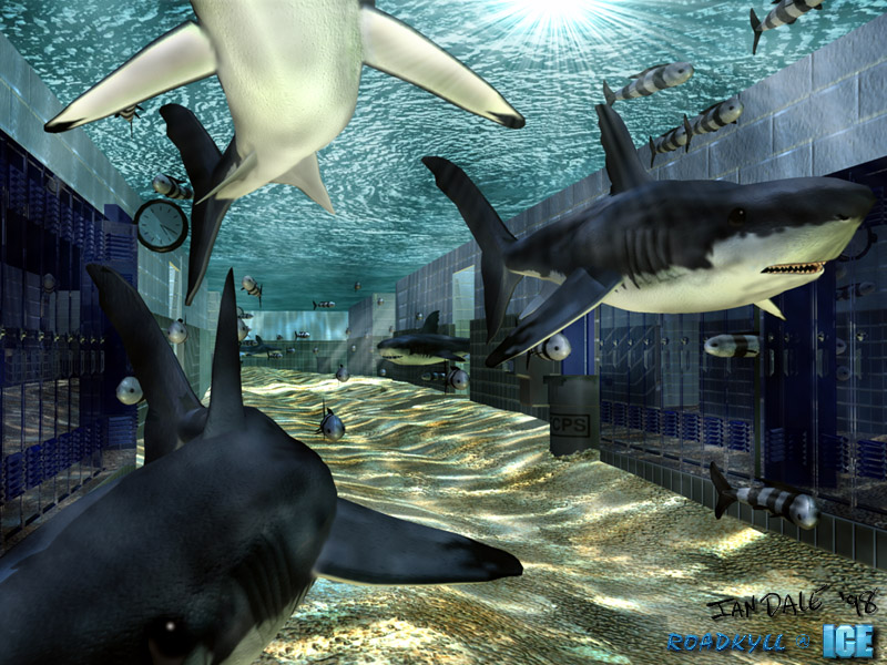 Image of the day for Aug, 25 2026 by Ian Dale Shark