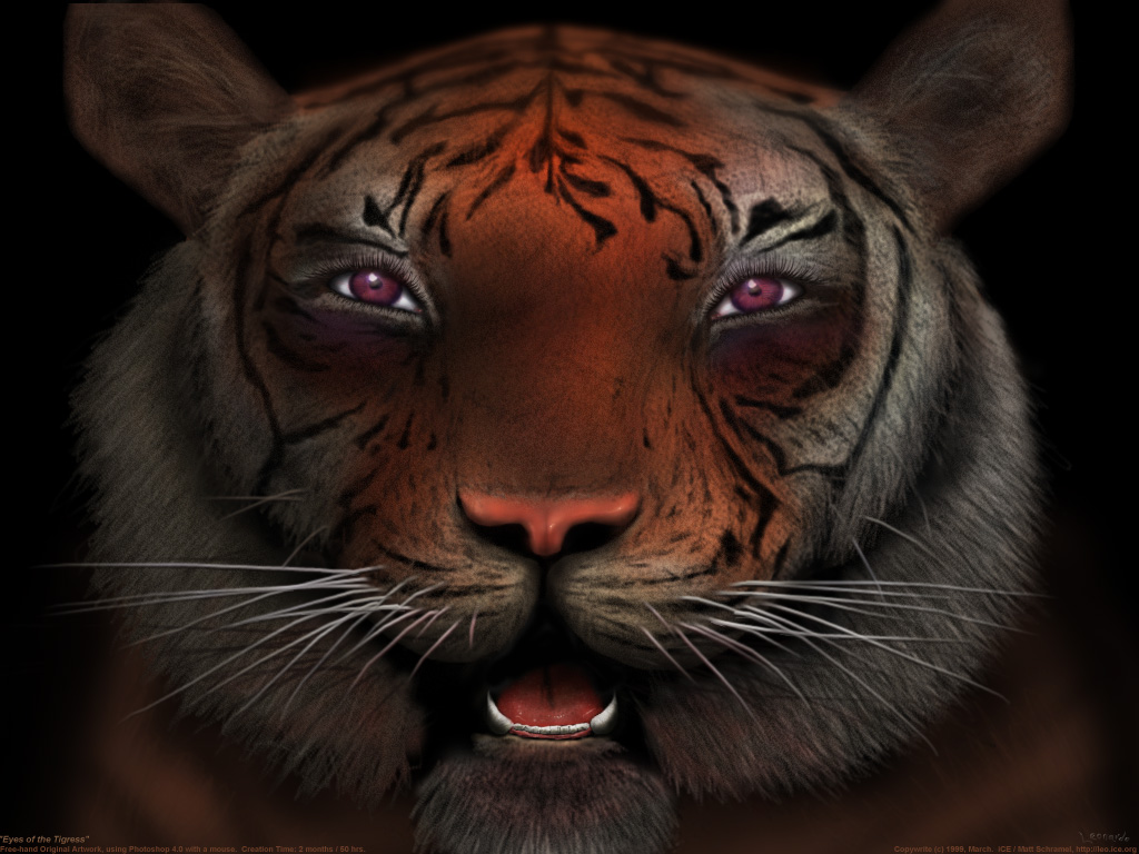 Image of the day for Oct, 31 2026 by Leonardo Tiger