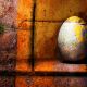 Egg