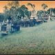 GraveYard