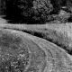 Country