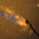 FireStick