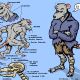 Skaven's