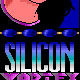 Silicon