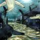 Shark