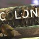 Colony