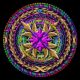 Rosette