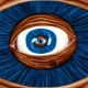 Eye