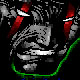 Cyberoptica/2