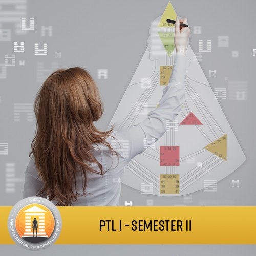Professional Training Level I Analyst Program - Semester 2