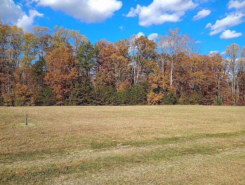 Lot 0 Eleys Ford Rd, Lignum, VA 22726 — photo 3