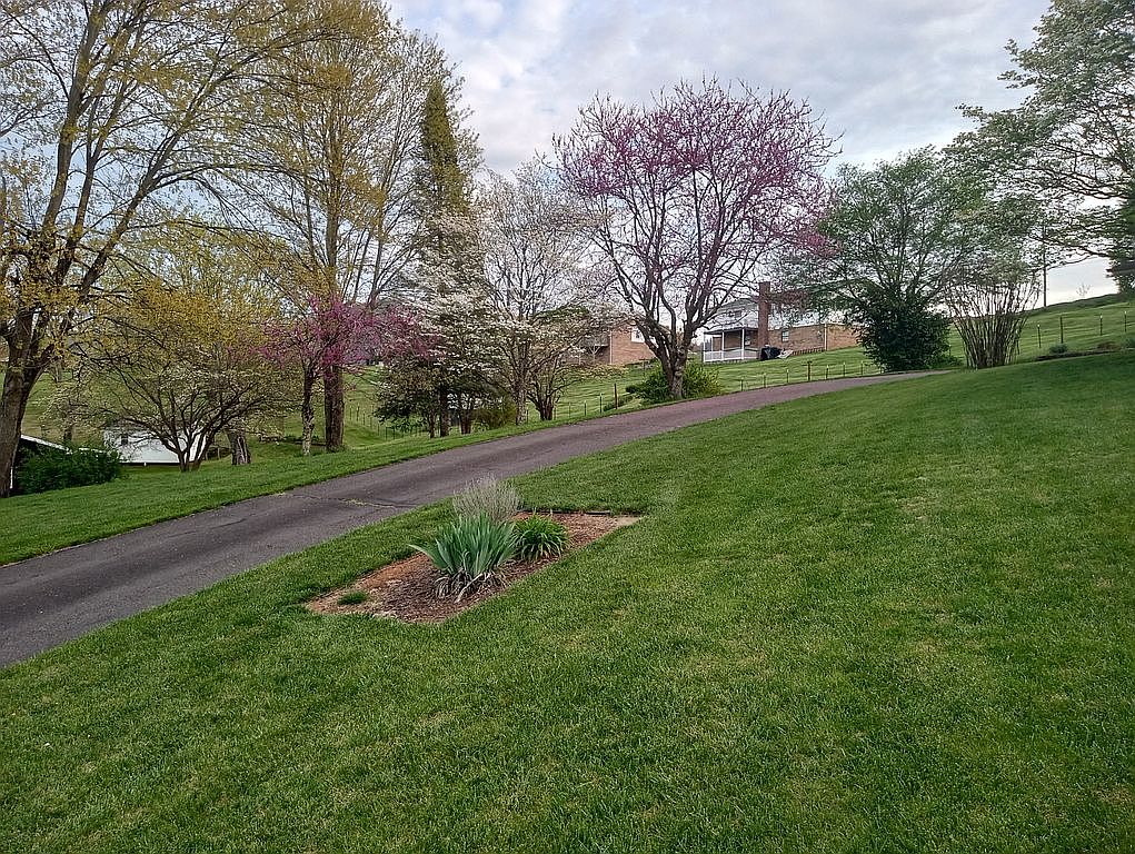 8 Regan Dr, Castlewood, VA 24224 — photo 3