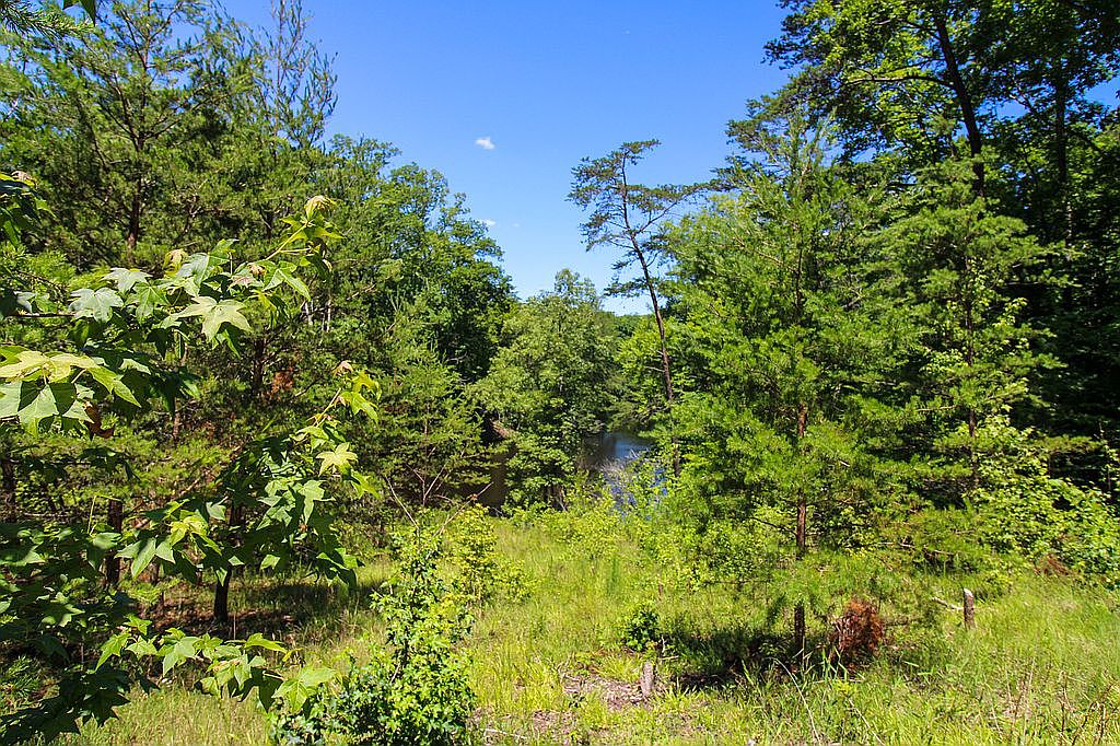 164 Old Cabin Rd, Cascade, VA 24069 — photo 1