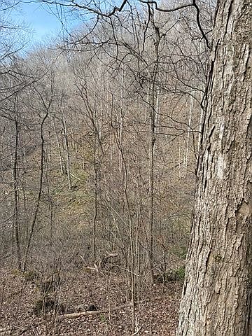 2231 Fox Fire Rd, Vansant, VA 24656 — photo 6