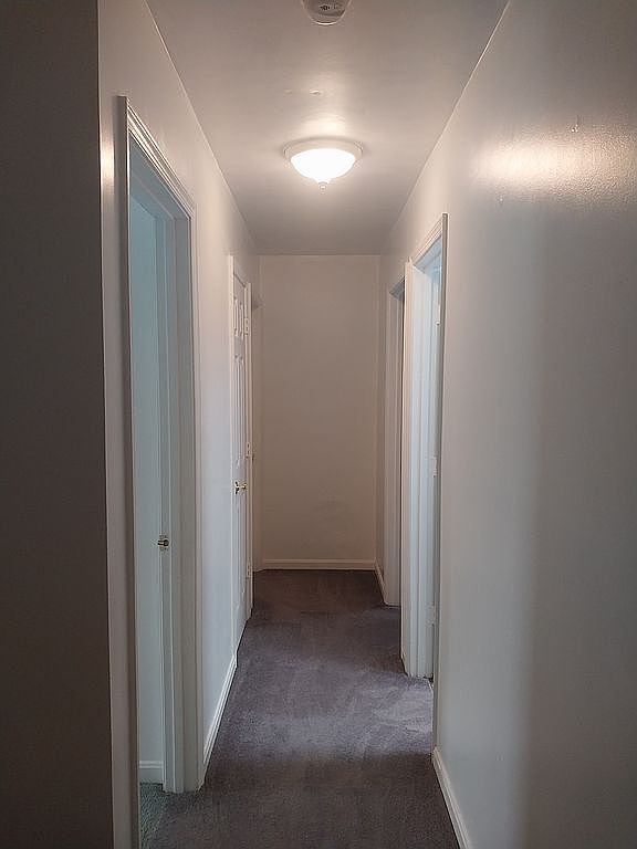 123 Etnam St, Winchester, VA 22602 — photo 6