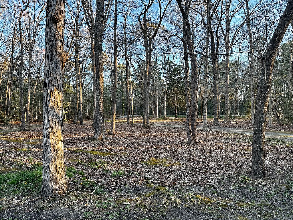 8259 Guinea Rd, Hayes, VA 23072 — photo 4