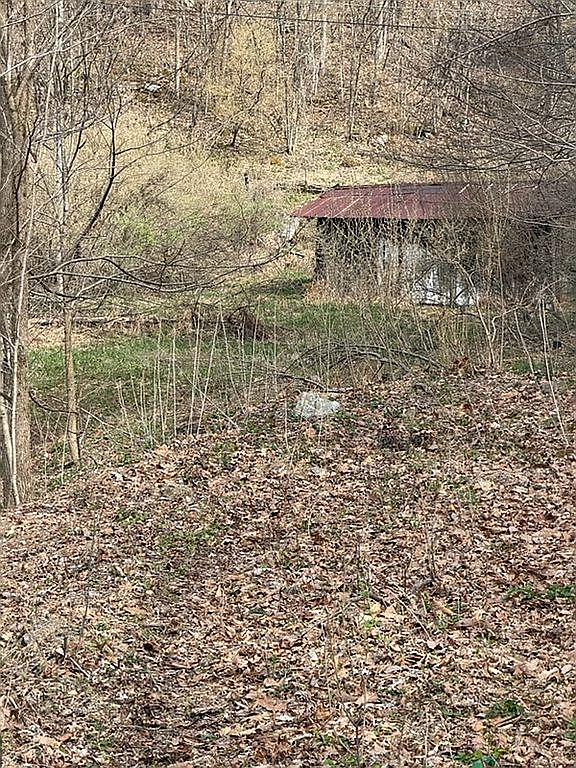 2231 Fox Fire Rd, Vansant, VA 24656 — photo 4