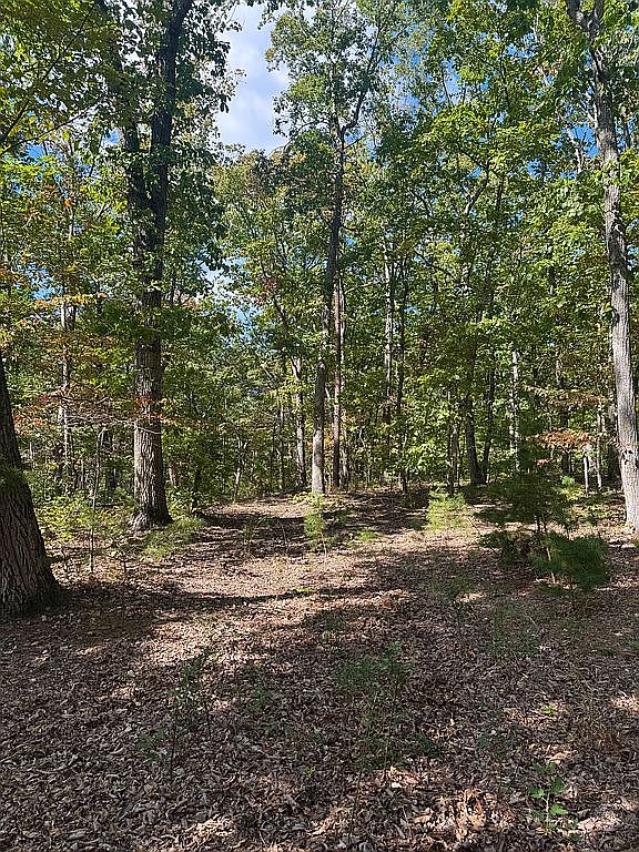 00 Harvest Ln, Barboursville, VA 22923 — photo 6