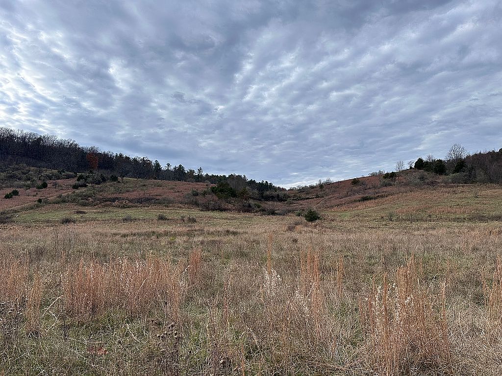 Gooney Manor Loop, Bentonville, VA 22610 — photo 3