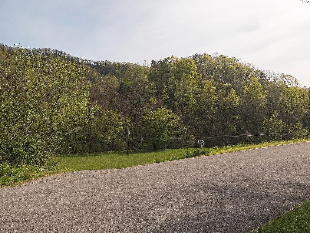 1125 Robinette Valley Rd, Duffield, VA 24244 — photo 3