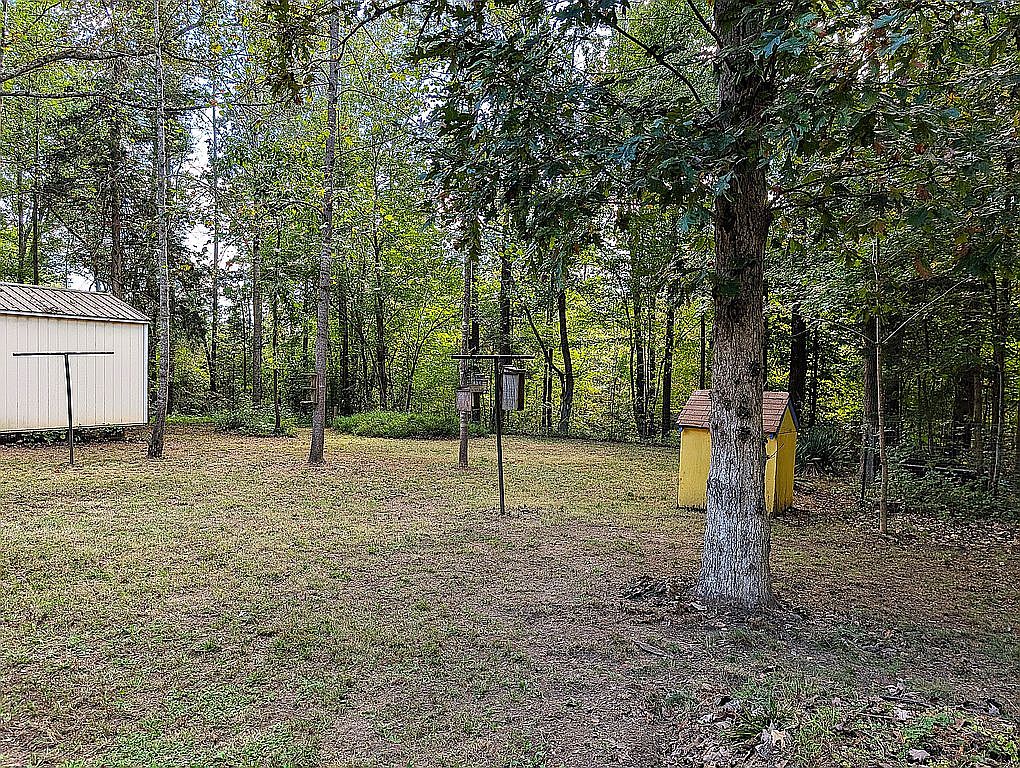 845 Pleasant Grove Rd, Keysville, VA 23947 — photo 6