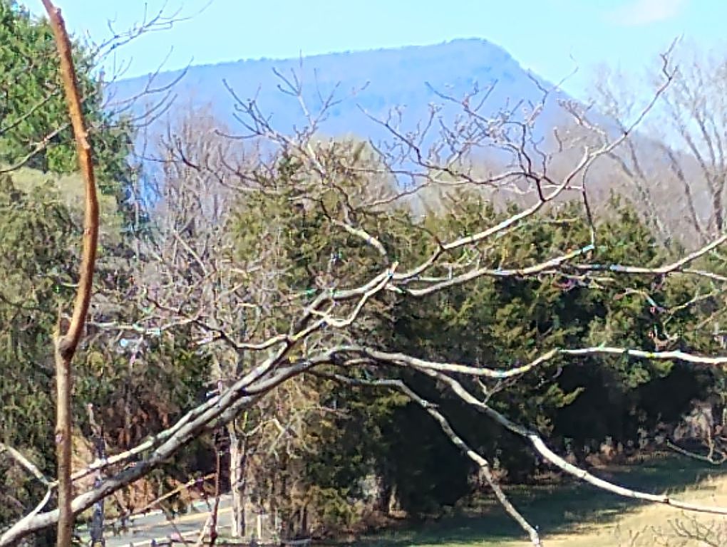 90 Cougar Ln, Lexington, VA 24450 — photo 3