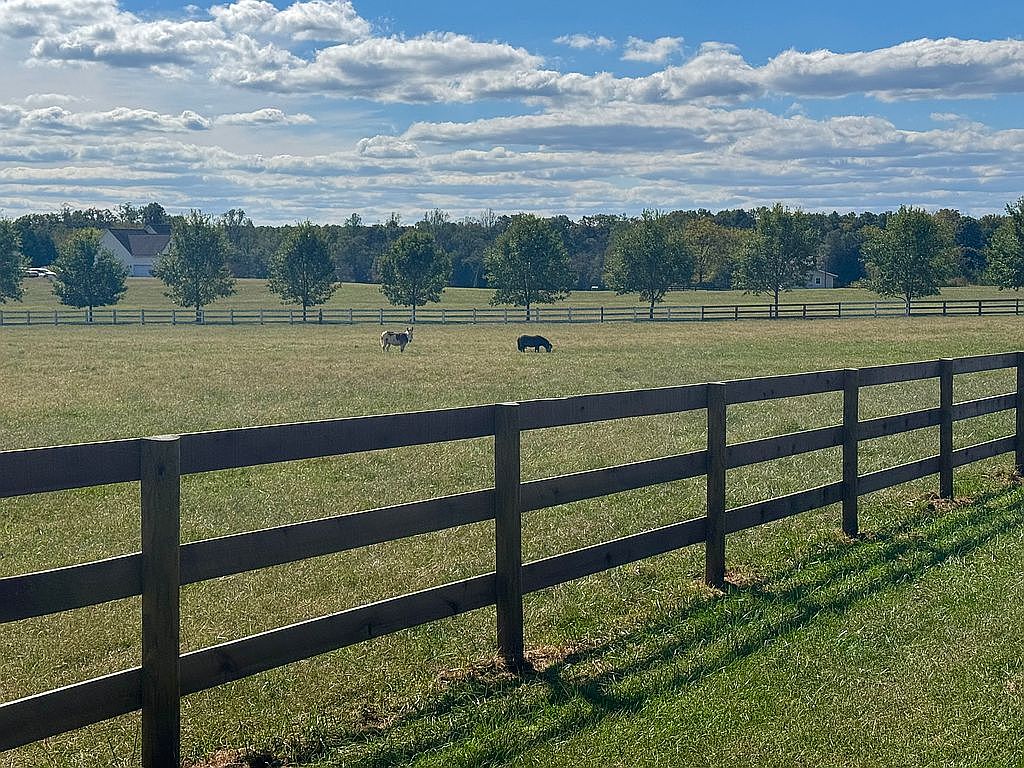 00 Harvest Ln, Barboursville, VA 22923 — photo 3