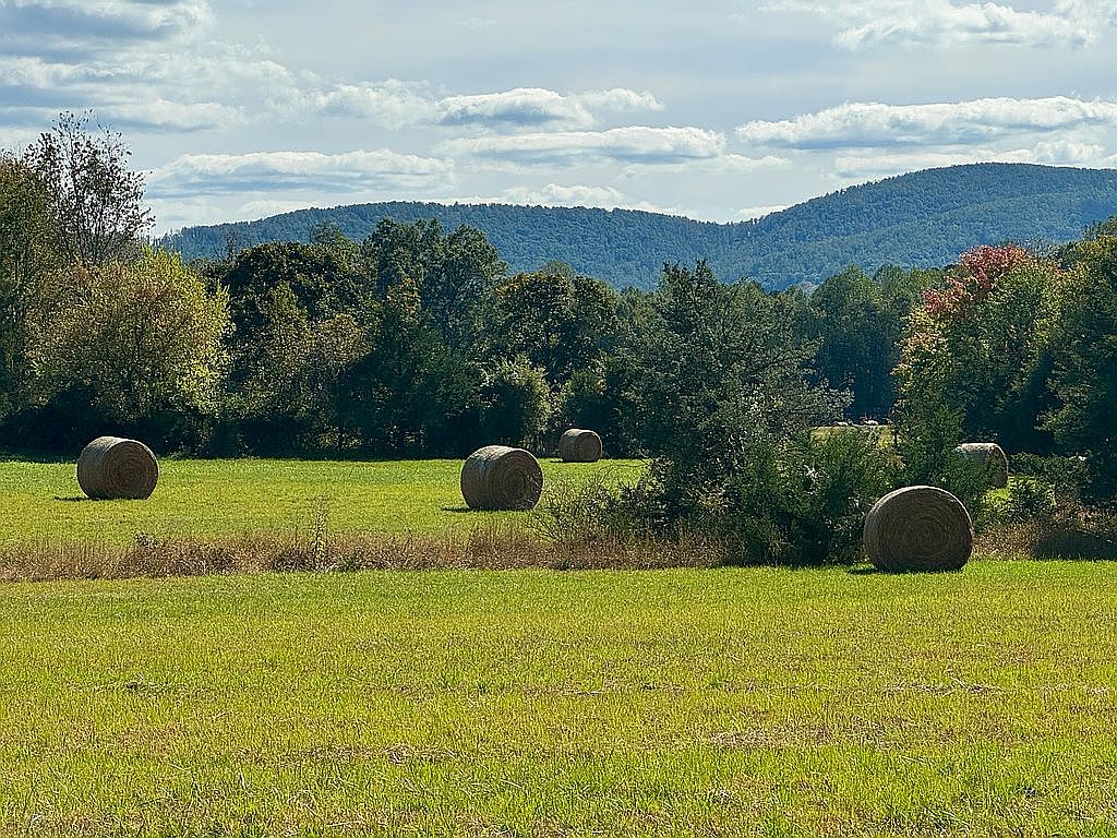 00 Harvest Ln, Barboursville, VA 22923 — photo 2