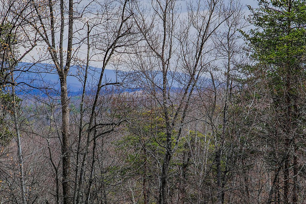 642 Paddys Run Rd, Star Tannery, VA 22654 — photo 3