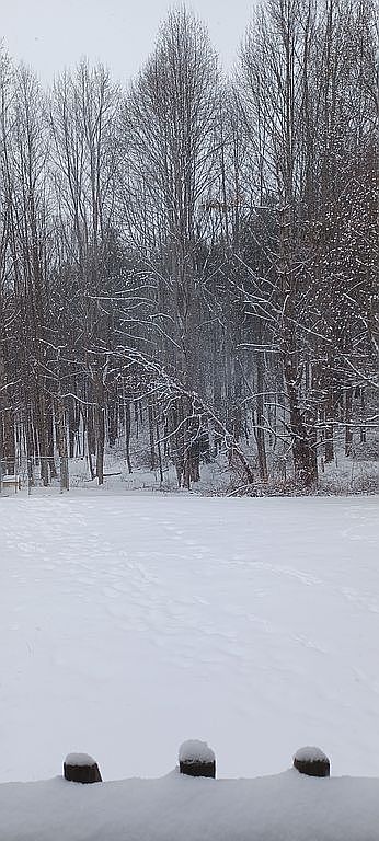 2414 Double Cabin Rd, Hillsville, VA 24343 — photo 1