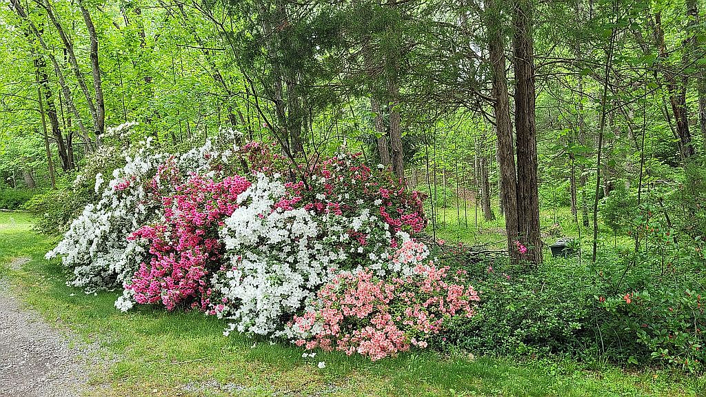 314 N Anna Dr, Louisa, VA 23093 — photo 4