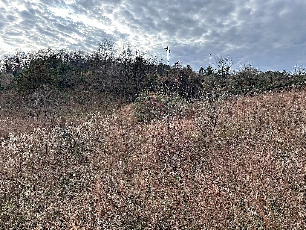 Gooney Manor Loop, Bentonville, VA 22610 — photo 5