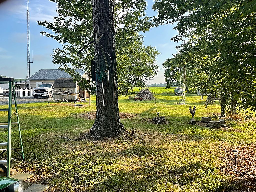 1389 Ellis St, Greenbackville, VA 23356 — photo 4