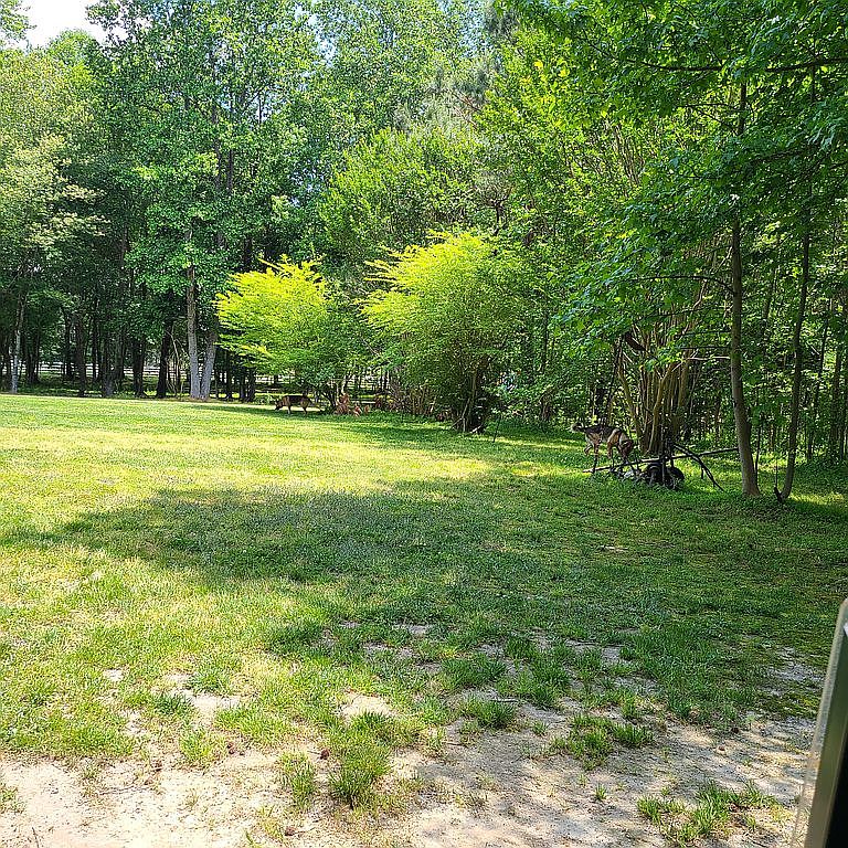 1012 Butler Branch Rd, South Prince George, VA 23805 — photo 1