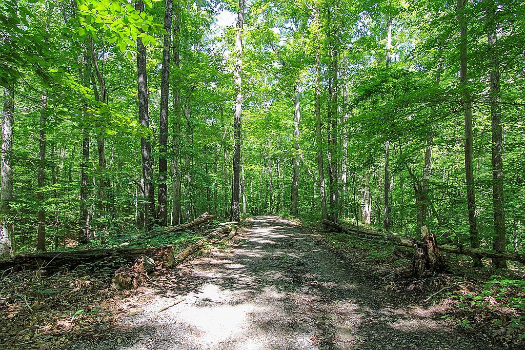 164 Old Cabin Rd, Cascade, VA 24069 — photo 4