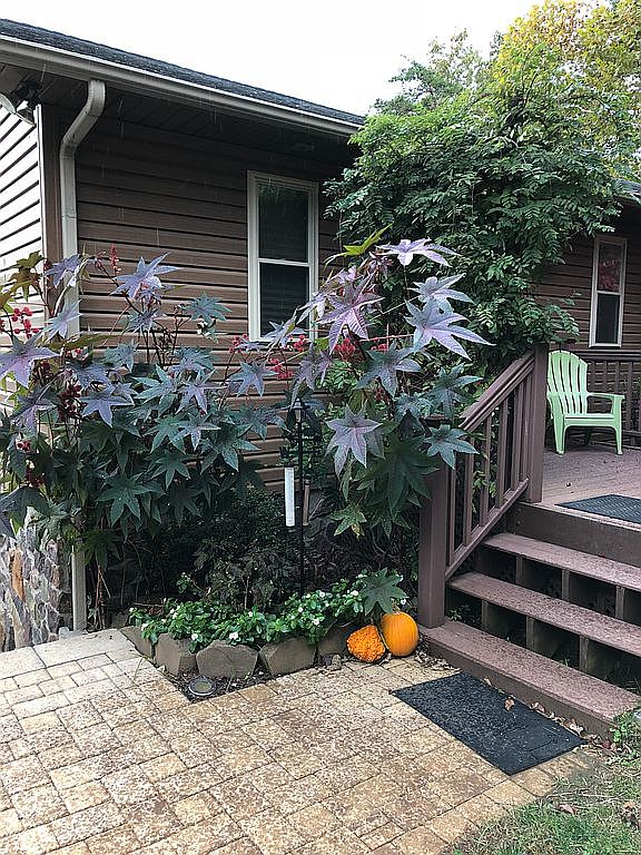797 Major Holland Rd, Union Hall, VA 24176 — photo 5