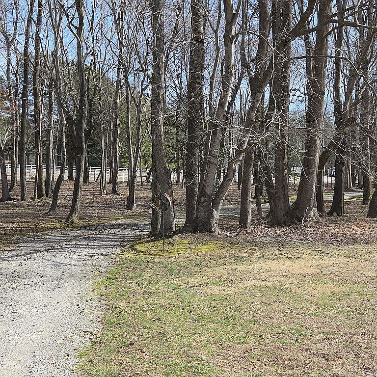 1012 Butler Branch Rd, South Prince George, VA 23805 — photo 5
