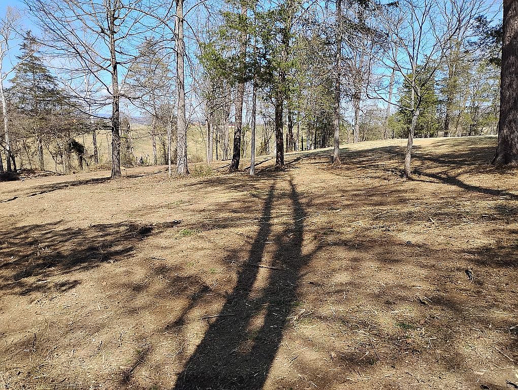 90 Cougar Ln, Lexington, VA 24450 — photo 5