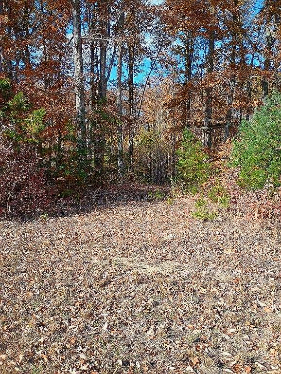Lot 0 Eleys Ford Rd, Lignum, VA 22726 — photo 5