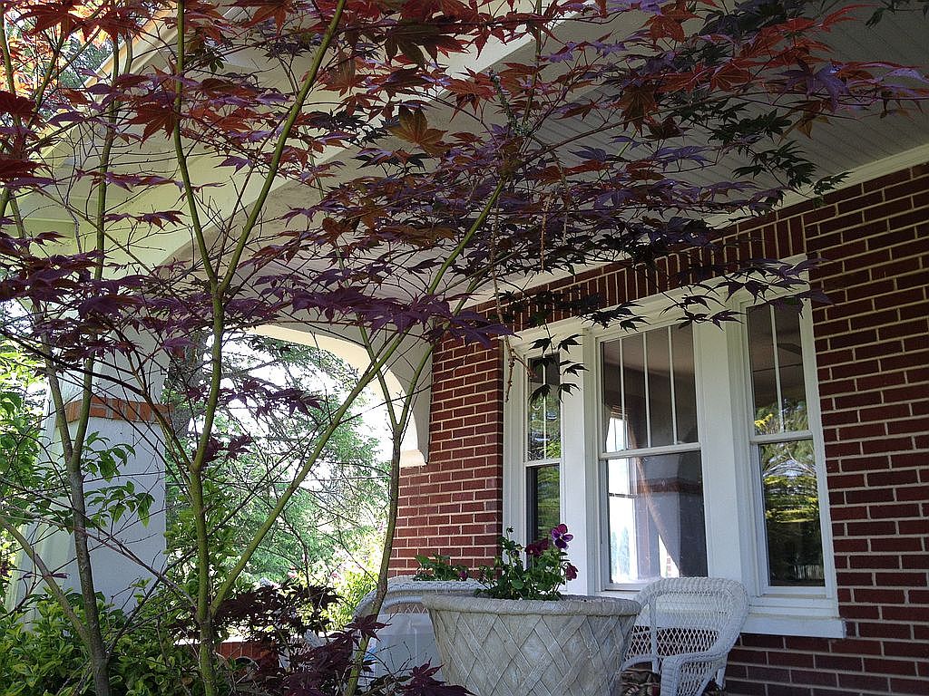 220 Little River Rd Ne, Floyd, VA 24091 — photo 2