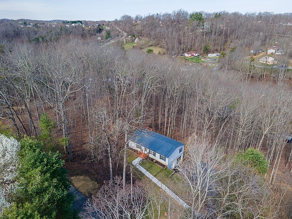 680 Mount Pleasant Rd, Shawsville, VA 24162 — photo 5