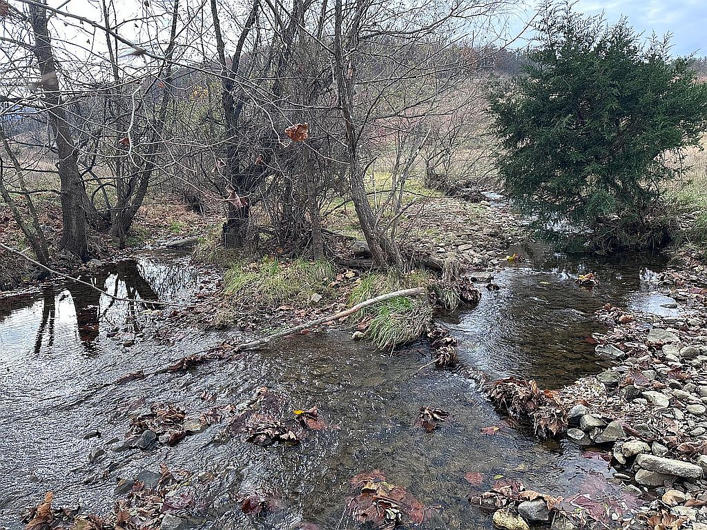 Gooney Manor Loop, Bentonville, VA 22610 — photo 4