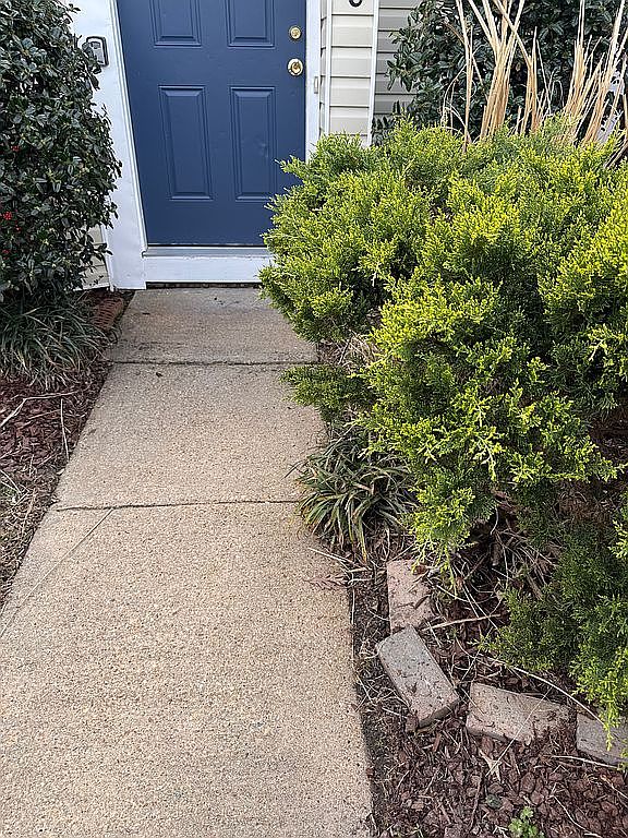 438 Falling Ln, Virginia Beach, VA 23454 — photo 3