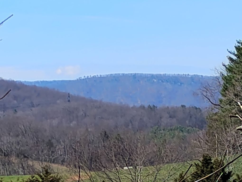 90 Cougar Ln, Lexington, VA 24450 — photo 2