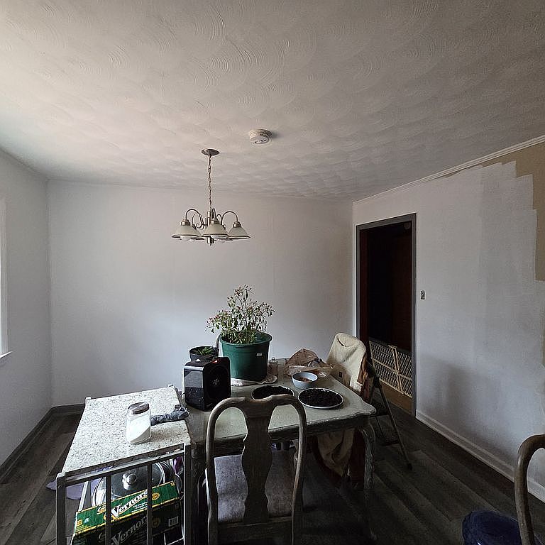 905 Luna Lake Rd, Danville, VA 24541 — photo 4