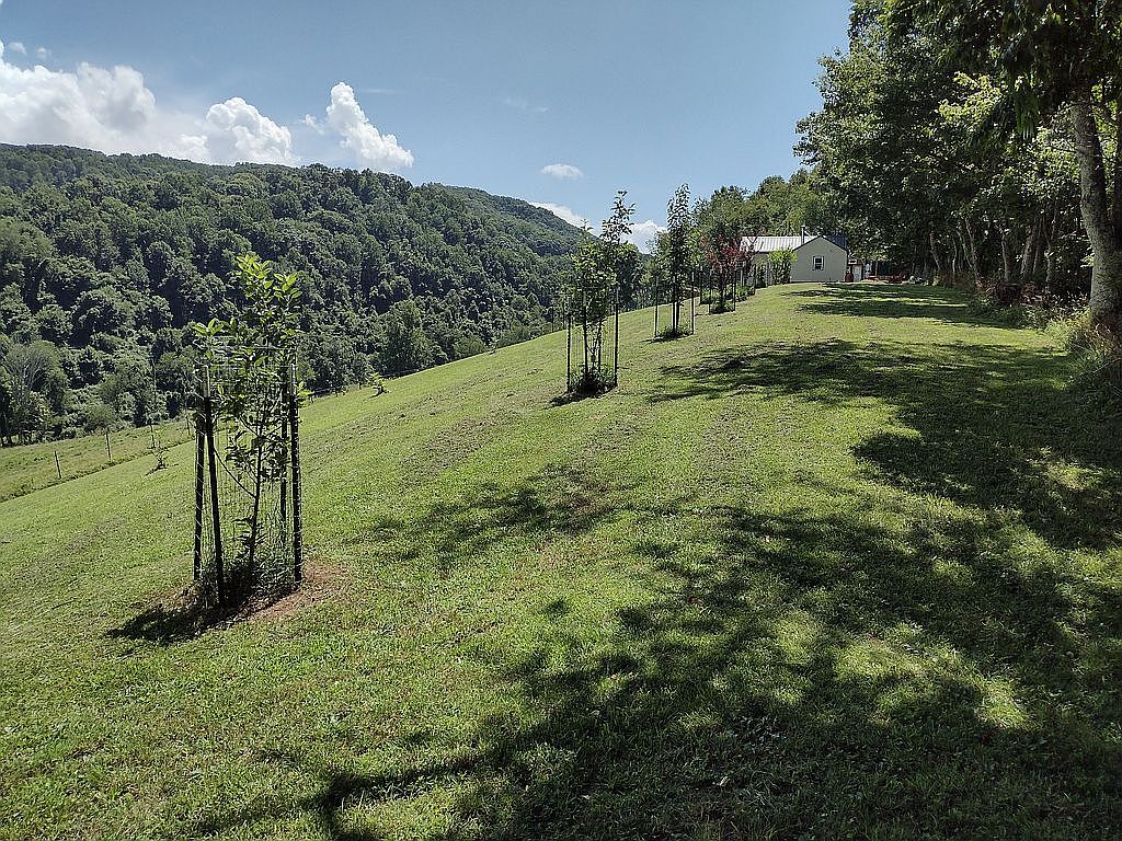 1510 Matson Dr, Marion, VA 24354 — photo 6