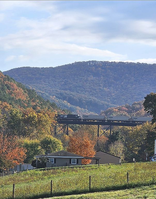 1174 Dovel Hollow Rd, Stanley, VA 22851 — photo 1