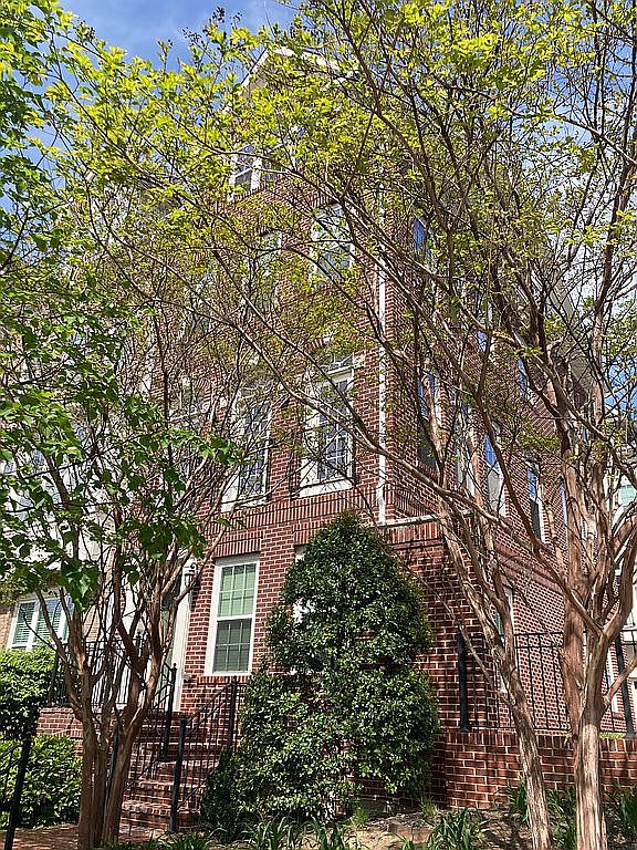 805 N Woodrow St, Arlington, VA 22203 — photo 2
