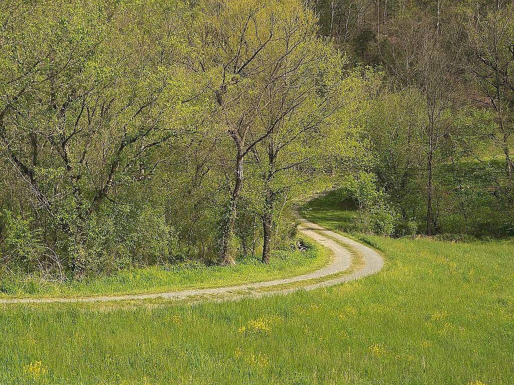 1125 Robinette Valley Rd, Duffield, VA 24244 — photo 5